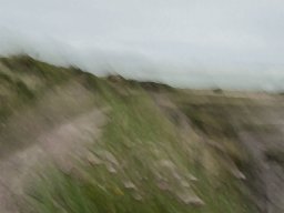 Horizonte